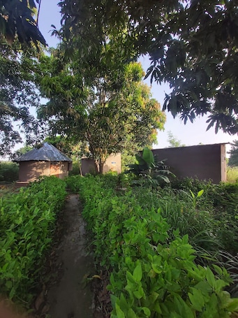 Property grounds. BAH Guesthouse @ Good Vibes Eco Lodge