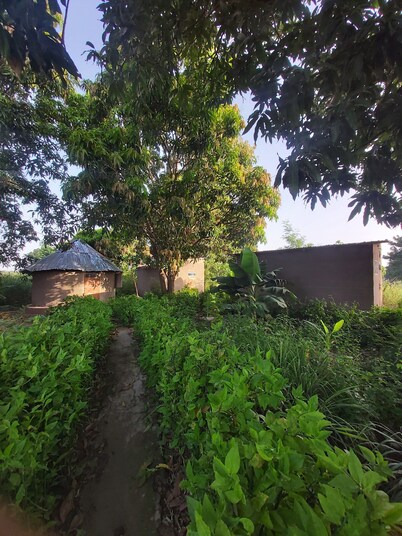 Bah Guesthouse @ Good Vibes Eco Lodge