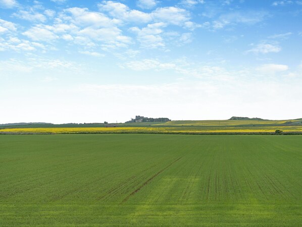 A vast green field with a distant building on a hill. - 4 bedroom accommodation in Seahouses (Seahouses)