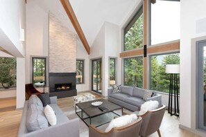 TV, fireplace, offices