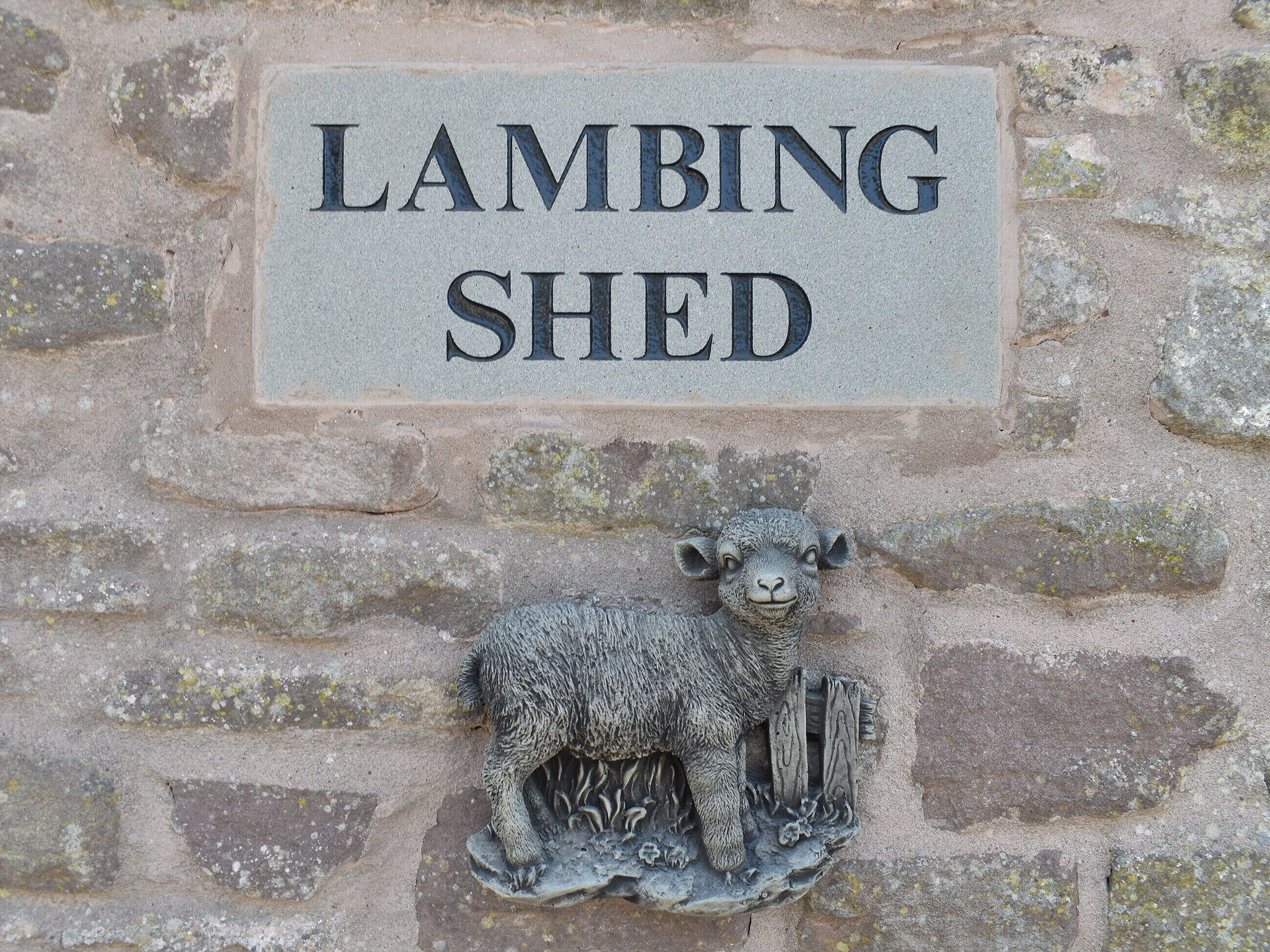 Un muro de piedra con un cartel que dice "LAMBING SHED" y una escultura de oveja.
