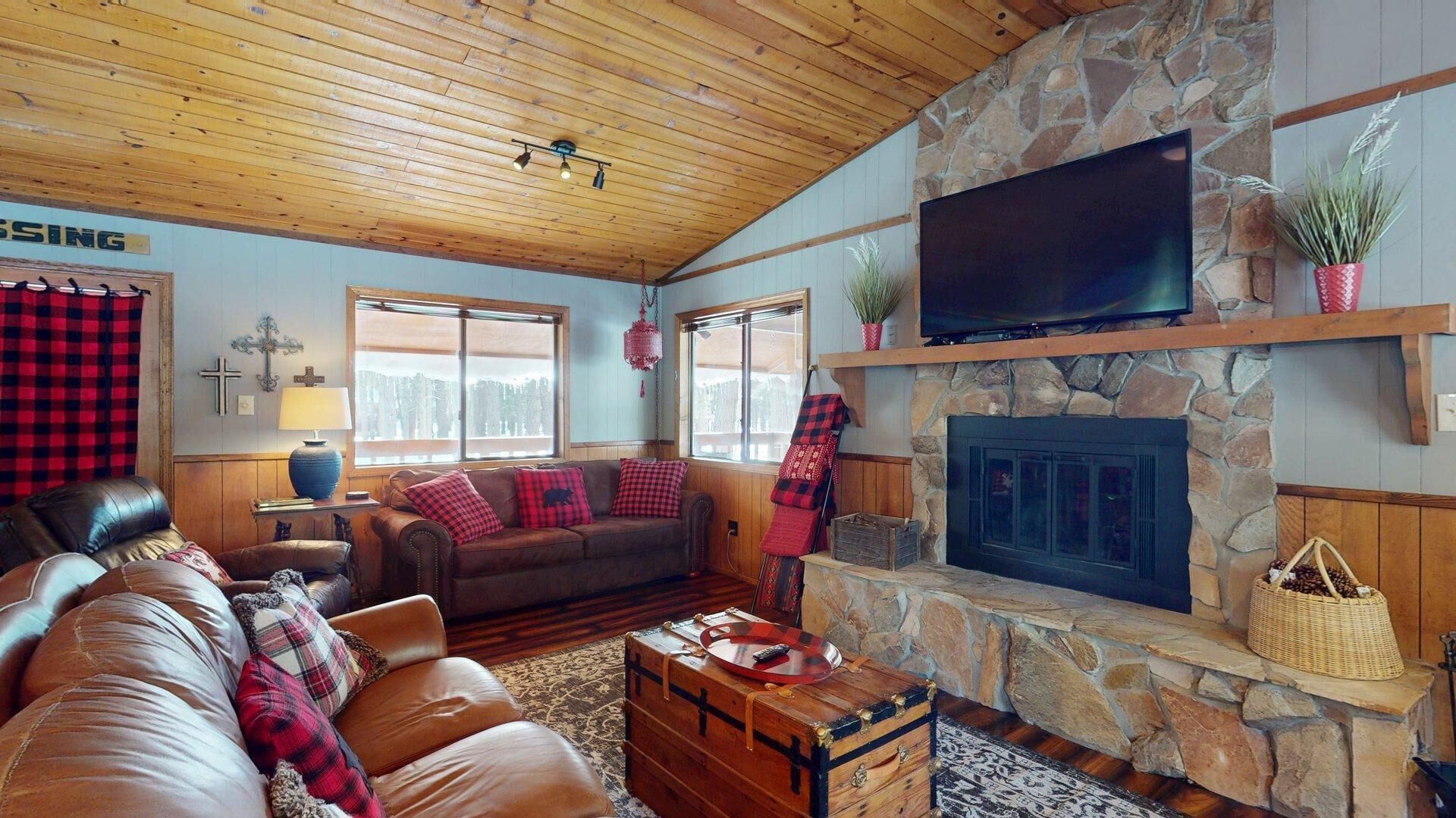 TV, fireplace, video games, DVD player