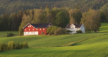 Farmhouse from the turn of the century with wood fired pizza oven