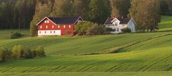 Farmhouse from the turn of the century with wood fired pizza oven