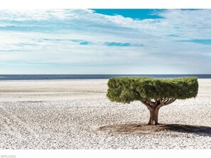 Am Strand, Liegestühle, Strandtücher