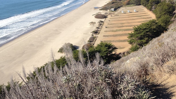 A coastal landscape with a sandy beach, a clear blue ocean, and a hilly backdrop with vegetation. - Cute & Colourful Oceanside Cottage w Garden (Stinson Beach)