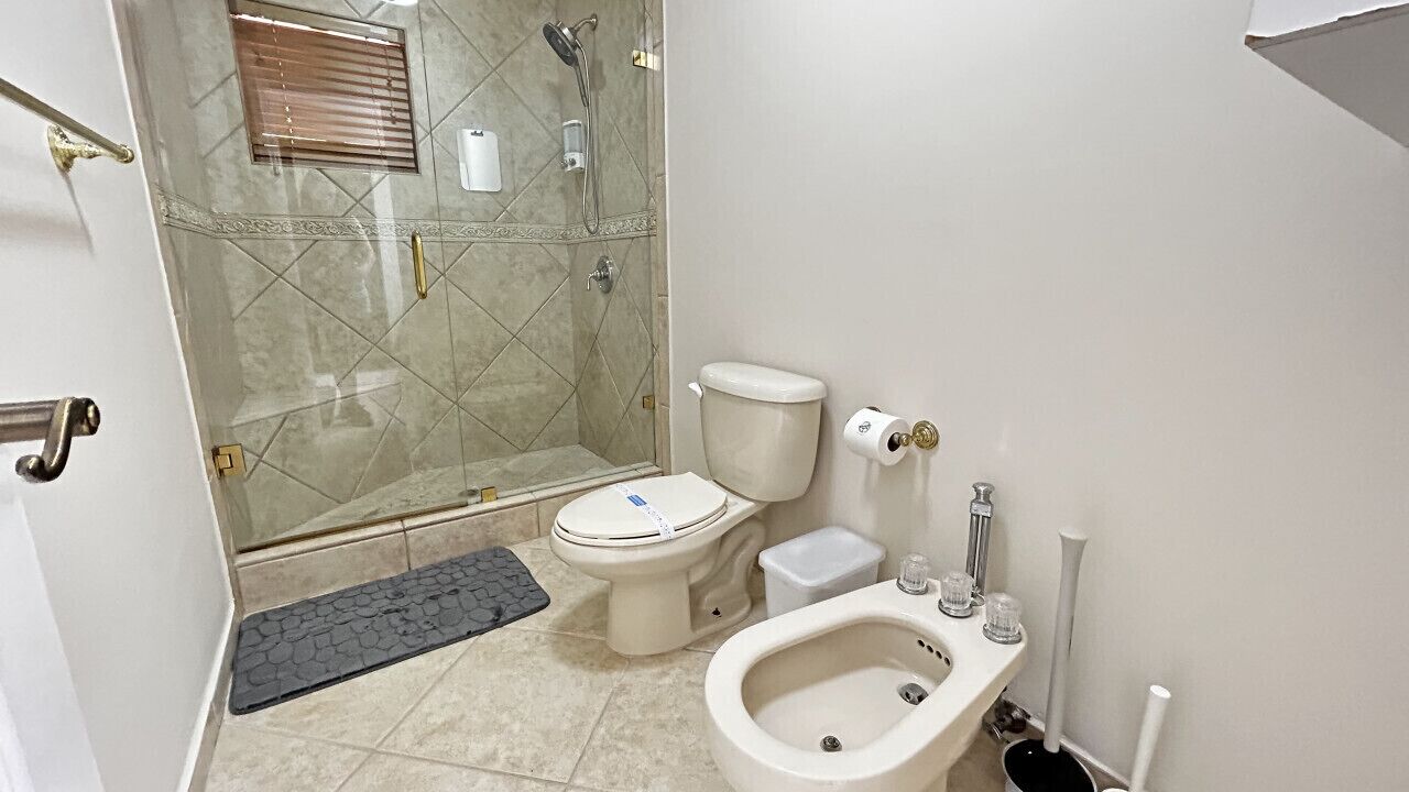 A bathroom with a toilet, bidet, and shower area.