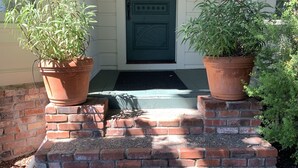 A front entrance with a green door, two potted plants on brick steps, and a small porch area.