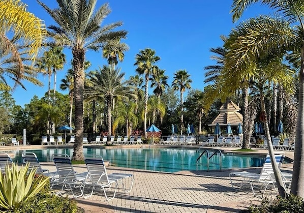 Zona de piscina con sillones de descanso y palmeras.