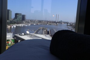 豪華公寓, 2 間臥室 | 客房景觀