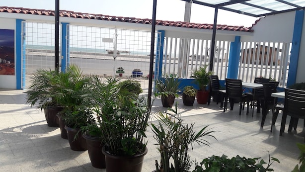 An outdoor patio area with multiple potted plants, a seating area with tables and chairs, and a view of the street and buildings in the background. - Hotel Brisas del Pacifico (Playas)