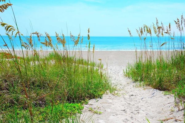 On the beach, sun loungers, beach towels
