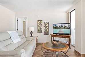 Smart TV, DVD player, books