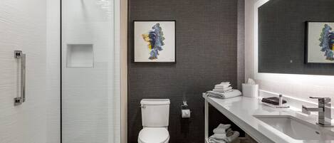 A modern bathroom with a glass shower enclosure, a white toilet, a large mirror, and a white sink.