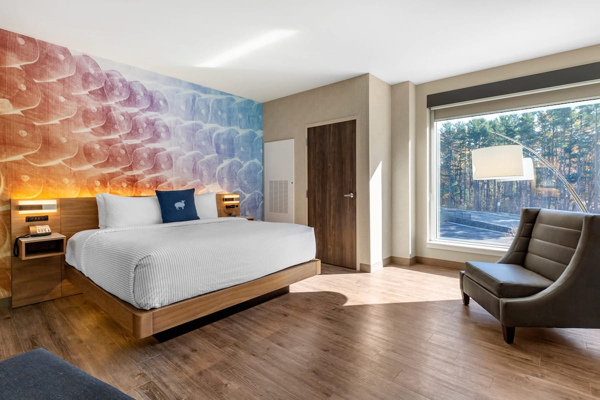 A modern bedroom with a large bed, bedside tables, a chair, a view of trees through a large window, and a colorful wall mural.