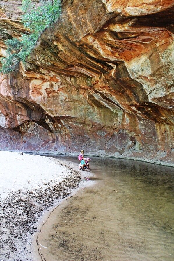 Unclassified image, 1 of 20, button