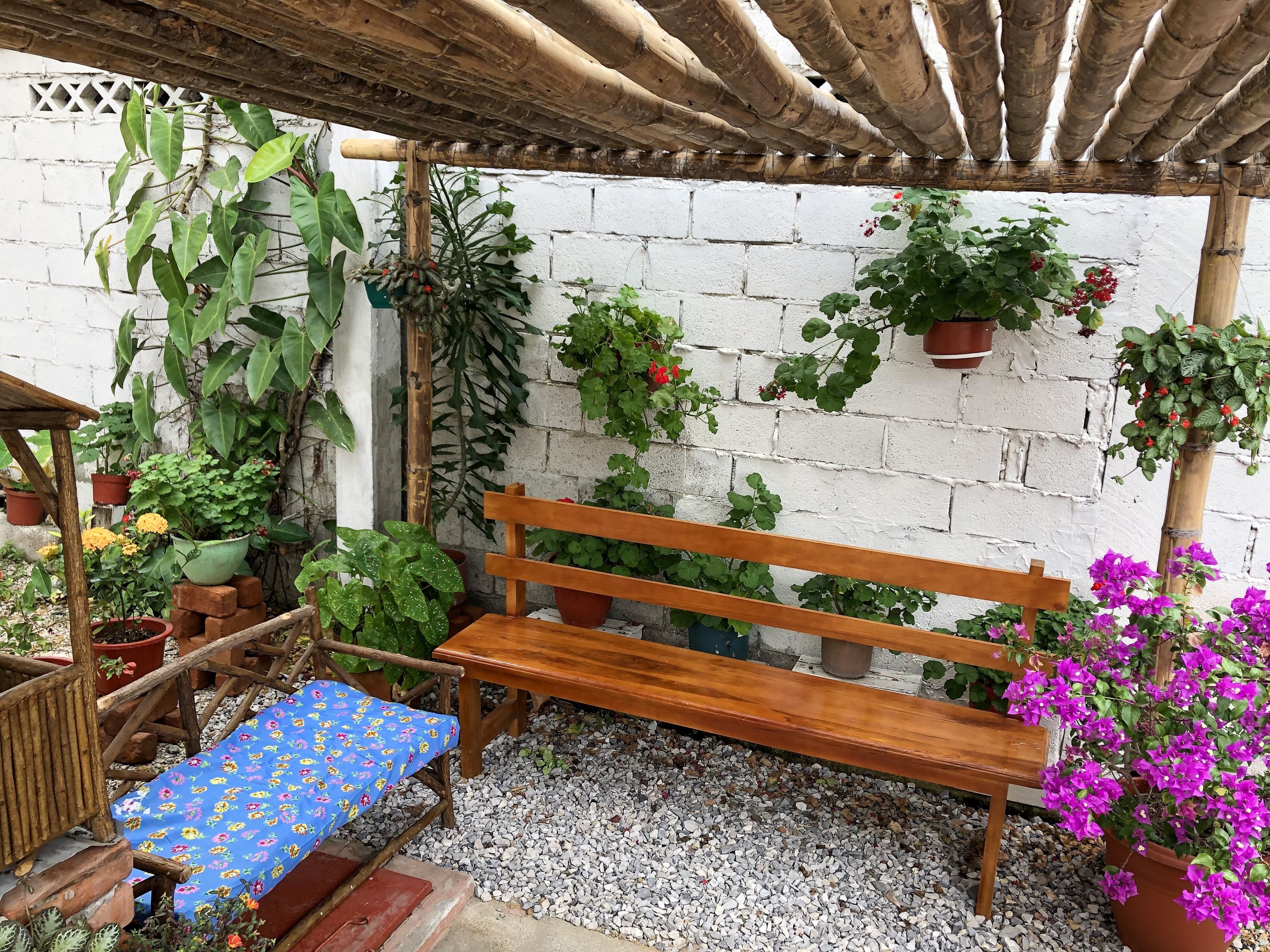 A wooden bench under a bamboo pergola, surrounded by potted plants and a white brick wall.
