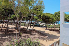Property grounds - Apartment by Atalaya park and beach (CONIL DE LA FRONTERA)