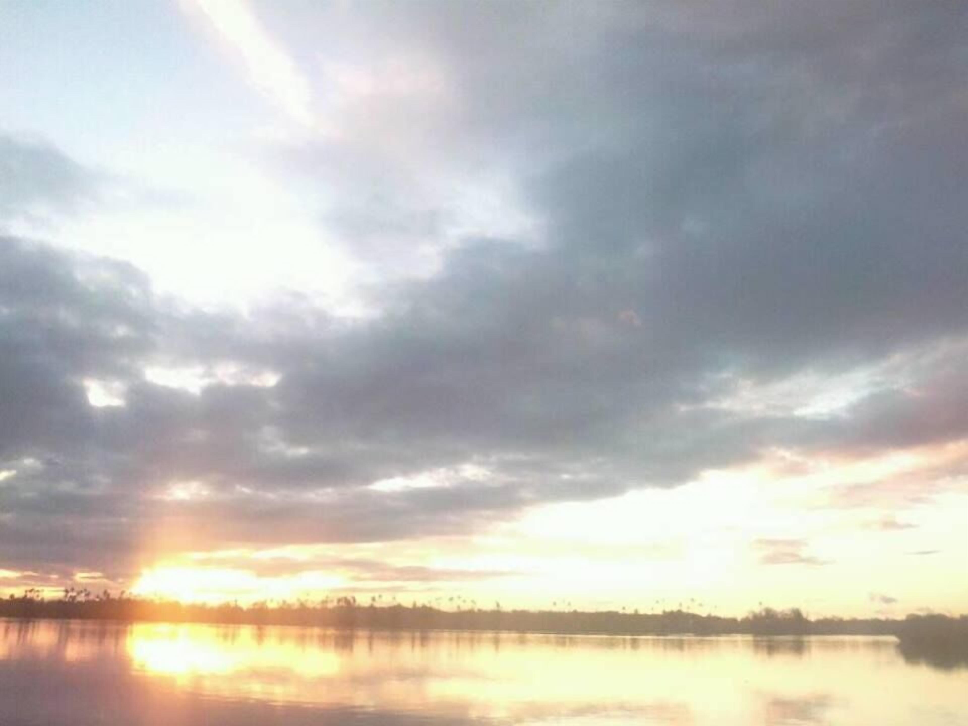 A calm lake at sunset with a clear sky and a silhouette of trees along the horizon.