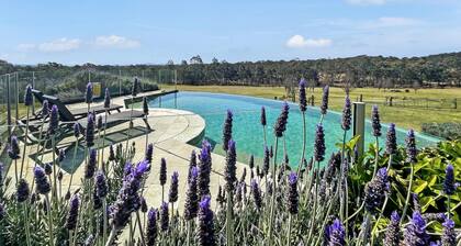 The Ballabourneen House - Grand Hunter Valley homestead - 4 bedrooms with infinity pool and open fireplace