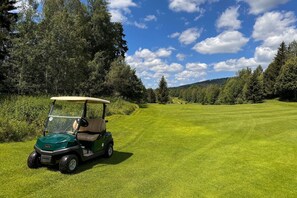 En golfbil på en velholdt grøn plæne med træer i baggrunden.