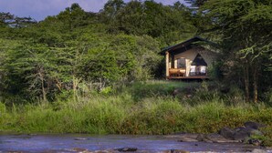 Une cabane dotée d’une terrasse, entourée d’une forêt dense et bordée par une rivière.