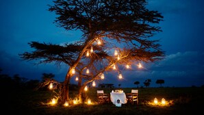 Un arbre décoré de lanternes suspendues et une table dressée pour un repas.