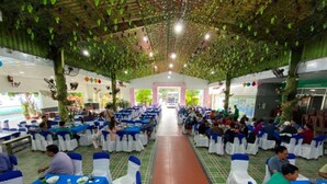 A banquet hall with rows of tables, each with white chairs and blue sashes, under a ceiling adorned with hanging plants. - Ngoc Han Hotel (Thoi Son)