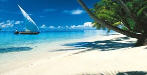A beach with a boat and palm trees.
