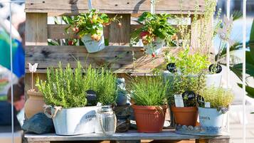 A wooden table with various potted plants and gardening supplies.