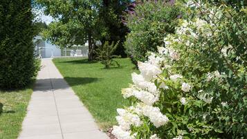 A pathway leading to a house with a well-maintained lawn and flowering shrubs.