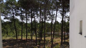 Deluxe Double Room | View from room