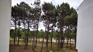 A balcony with a view of a pine forest. - Guilhim Guest House (Nazaré)