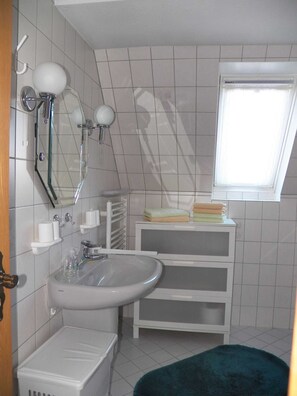 Shower, hair dryer