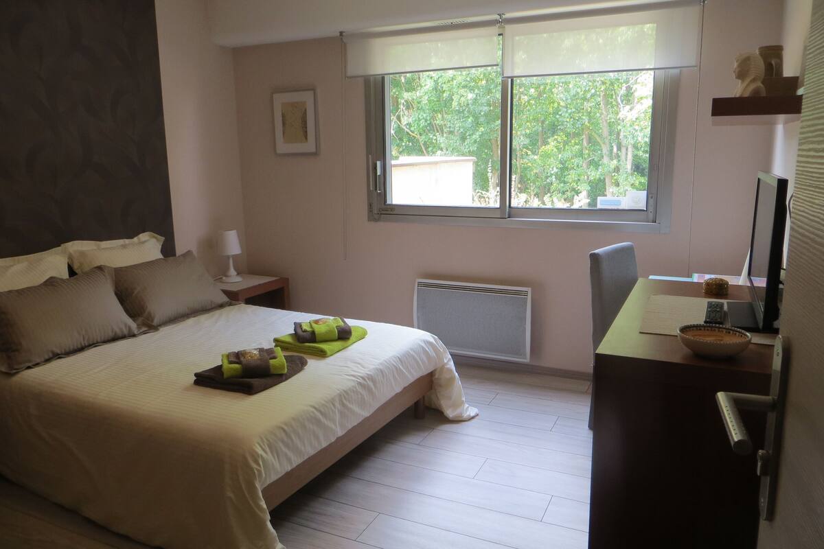 Comfort Double Room, Shared Bathroom, Park View (Les Tamaris)