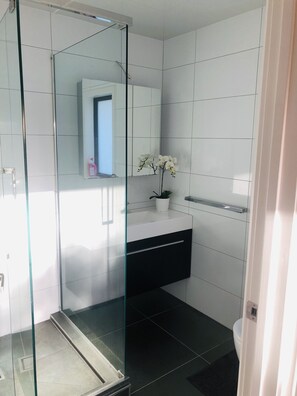 Dusche, Haartrockner, Handtücher, Seife