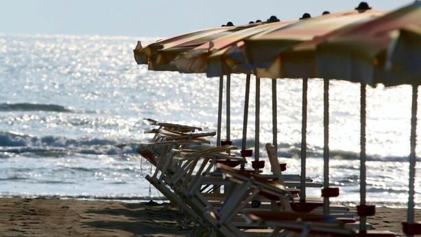 Strandstoelen en parasols staan op een rij aan het zandstrand, met de oceaan op de achtergrond.