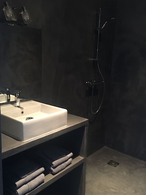 Shower, hair dryer, towels