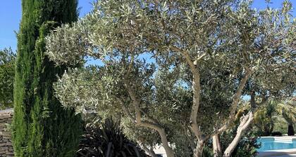 In the heart of Provence, the House of Friends offers you a haven of peace.