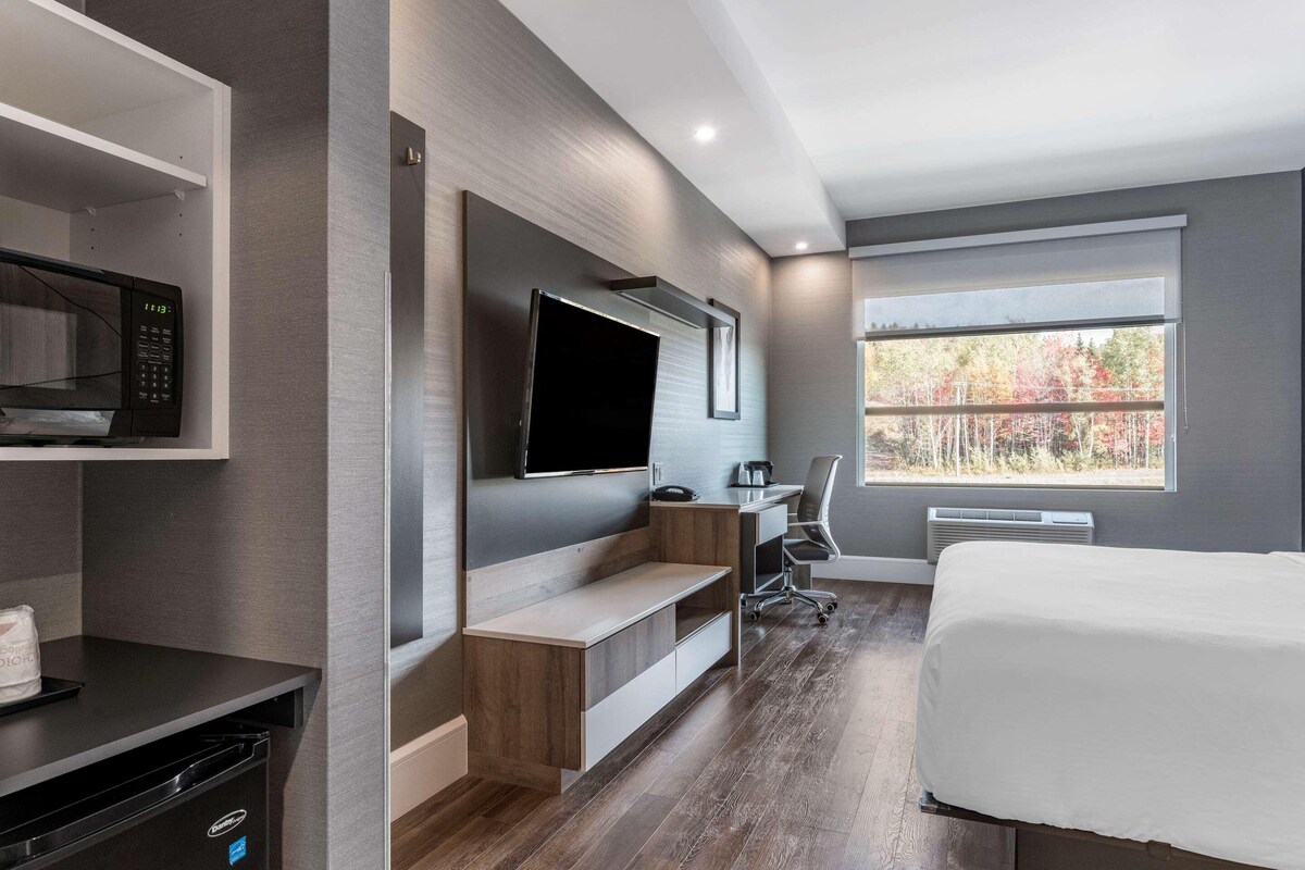 Habitación de hotel moderna con cama, escritorio, televisor y ventana con vista a árboles.