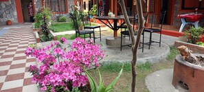 Quang cảnh vườn