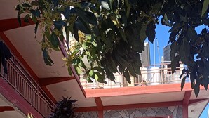 Un patio con macetas, un muro de ladrillo y un edificio con fachada de piedra.