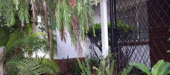 Candy's cottage, Villa Monaco