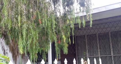 Süßigkeiten Cottage, Villa Monacco