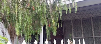 Candy's cottage, Villa Monaco