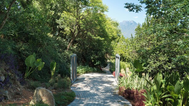 A paved garden pathway surrounded by lush greenery and large plants. - Gamma Monterrey Rincón de Santiago. (Santiago)