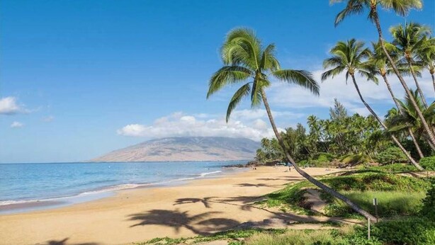 A beach with palm trees and a clear sky. - Traveler Favorite! Spacious, comfortable, updated 5-STAR Wailea Retreat. 🏝  (Wailea)