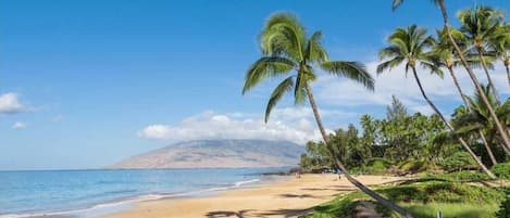 Beach nearby, sun-loungers, beach towels