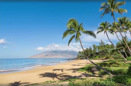 Beach nearby, sun-loungers, beach towels. Georgeous 5-STAR Wailea Retreat!🏝Tranquil Corner unit, Top tier Upgrades