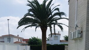 A rectangular swimming pool with clear blue water, surrounded by a white tiled deck. There are four lounge chairs aligned along the pool's edge. A large palm tree is positioned in the center of the pool area. - Exclusive Vila with private pool, wifi and air condition (Cambrils)